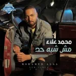 مش شبه حد