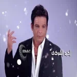 احمد الشوكى